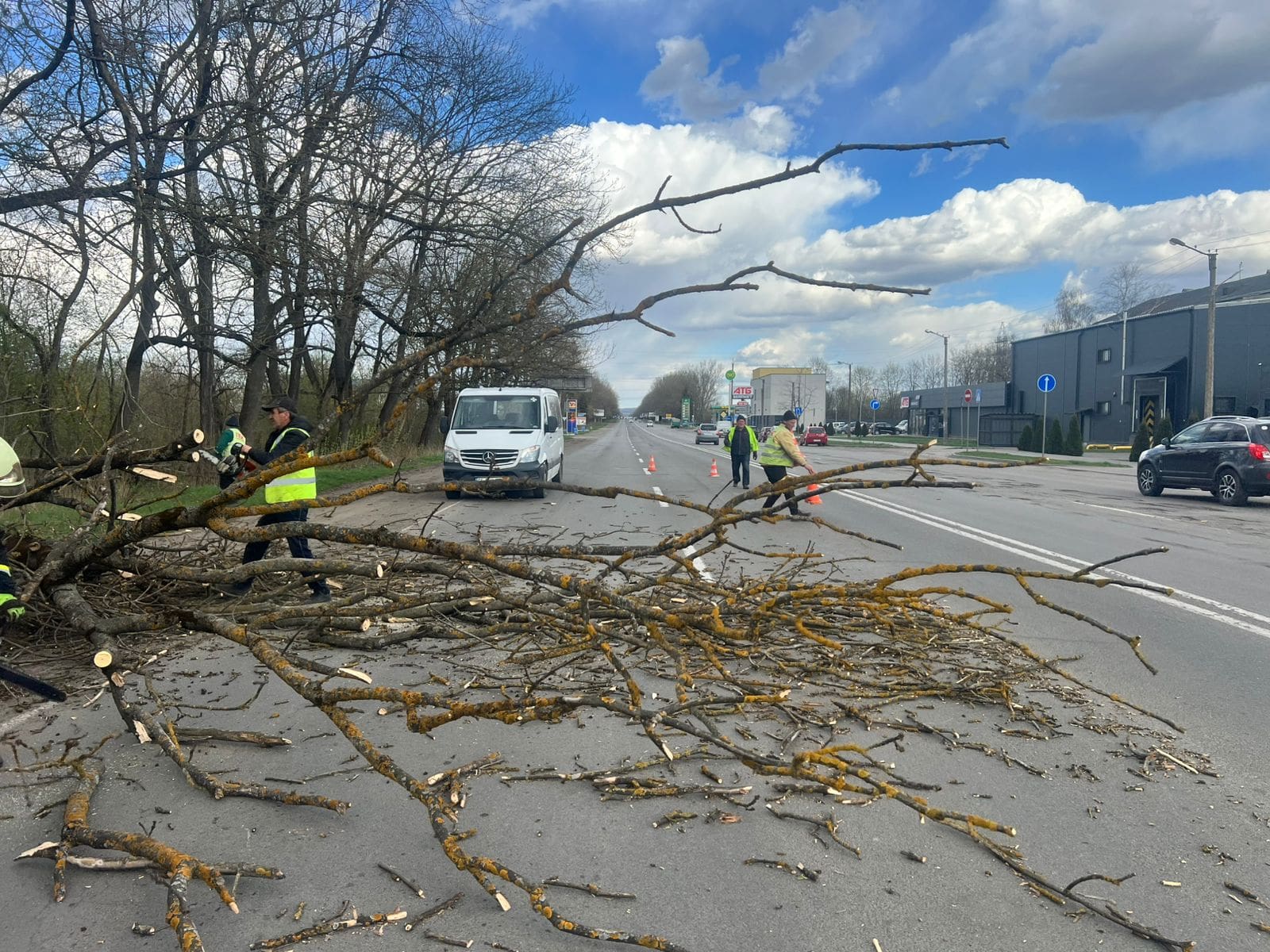 ліквідували наслідки сильного вітру
