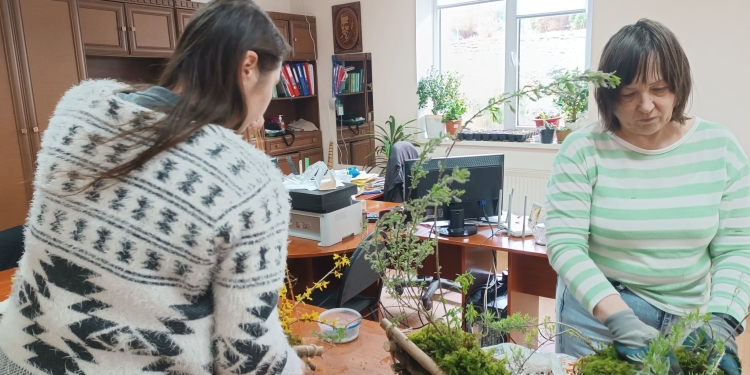 Великоднє диво у Кременці: до свята прикрасили реліктове дерево ботанічного саду