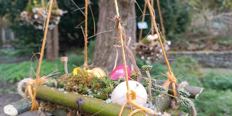 Великоднє диво у Кременці: до свята прикрасили реліктове дерево ботанічного саду