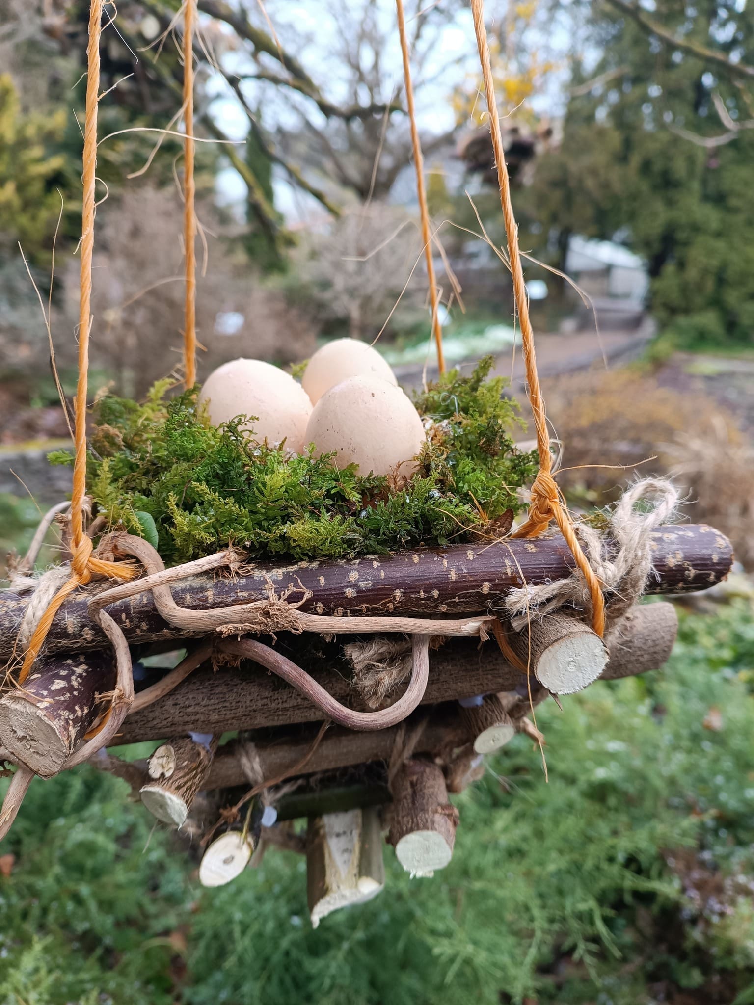 Великоднє диво у Кременці: до свята прикрасили реліктове дерево ботанічного саду