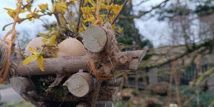 Великоднє диво у Кременці: до свята прикрасили реліктове дерево ботанічного саду