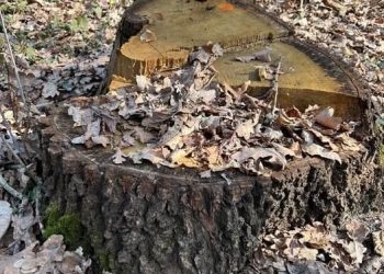 судовий процес проти державного підприємства