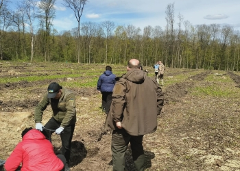 На Тернопільщині висадили 3000 дубів у пам’ять про загиблих у війні