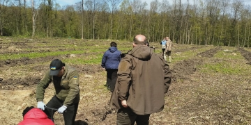 На Тернопільщині висадили 3000 дубів у пам’ять про загиблих у війні