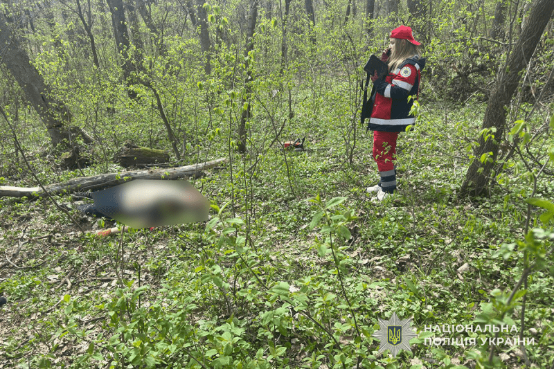 Під Тернополем під час зрізання дерева загинув молодий чоловік