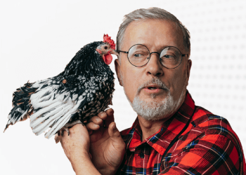 Що таке БМВД і як вони працюють у раціоні тварин