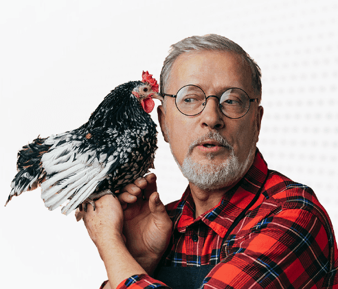 Що таке БМВД і як вони працюють у раціоні тварин