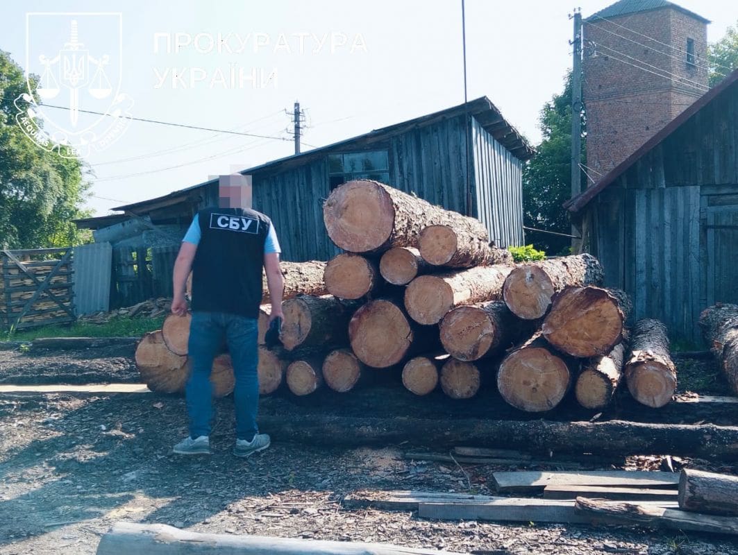 Вирубка лісу