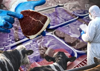 знищують худобу