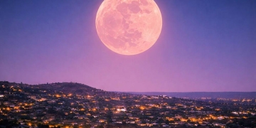 Рожева повня