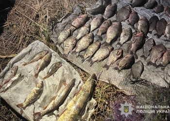 виявили двох браконьєрів