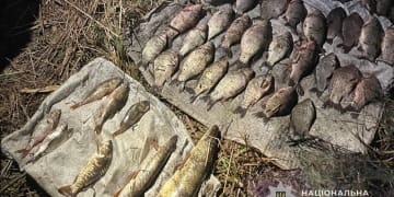 виявили двох браконьєрів