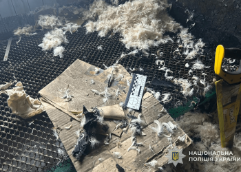 Пожежа в приватному будинку забрала життя