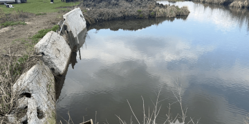 На Тернопільщині у водоймі втопився чотирирічний хлопчик
