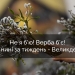 Вербна неділя в Україні: як святкуємо, історія, традиції, обряди та заборони