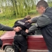 хабар
