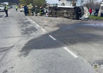 призвели до інвалідності літньої жінки