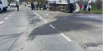 призвели до інвалідності літньої жінки
