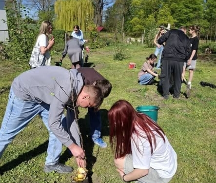 Учні Великоглибочецького ліцею заклали оновлений фруктовий сад