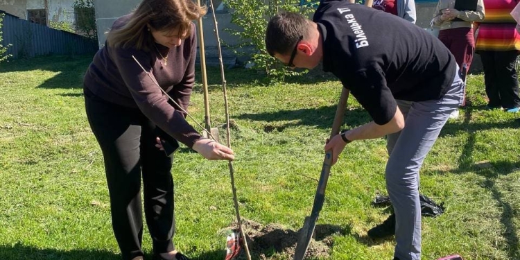 Учні Великоглибочецького ліцею заклали оновлений фруктовий сад
