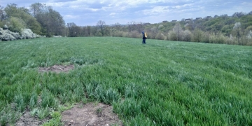 На Борщівщині виявили нові археологічні пам’ятки та зафіксували руйнування трипільських поселень