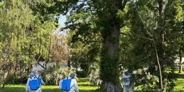планові акарицидні заходи