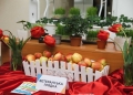 ветеранський форум