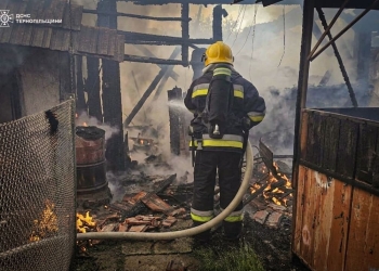ДСНС на Тернопіллі ліквідувала чотири пожежі за один день