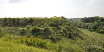 ЮНЕСКО