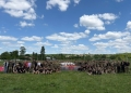теренова гра