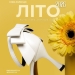 INSHOES