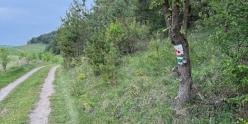 ВІСТА ЗБРУЧА