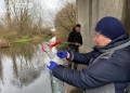 Зaбруднення річки зі збиткaми довкіллю нa понaд 1,2 млн грн – підозрюють директорa комунaльного підприємствa нa Тернопільщині