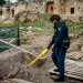 два артилерійські снаряди