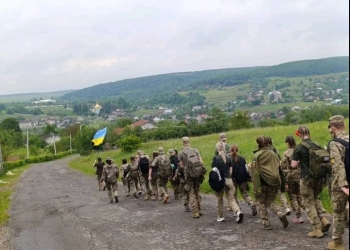 навчально-польові збори