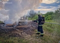 вогонь знищив автомобіль