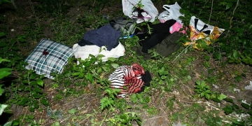 підозрюють у вбивстві бабусі