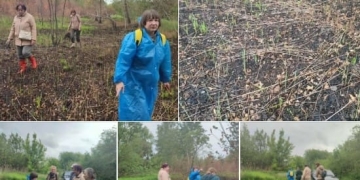 наслідки підпалу