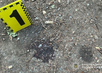 побив в парку