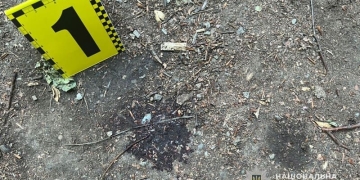 побив в парку