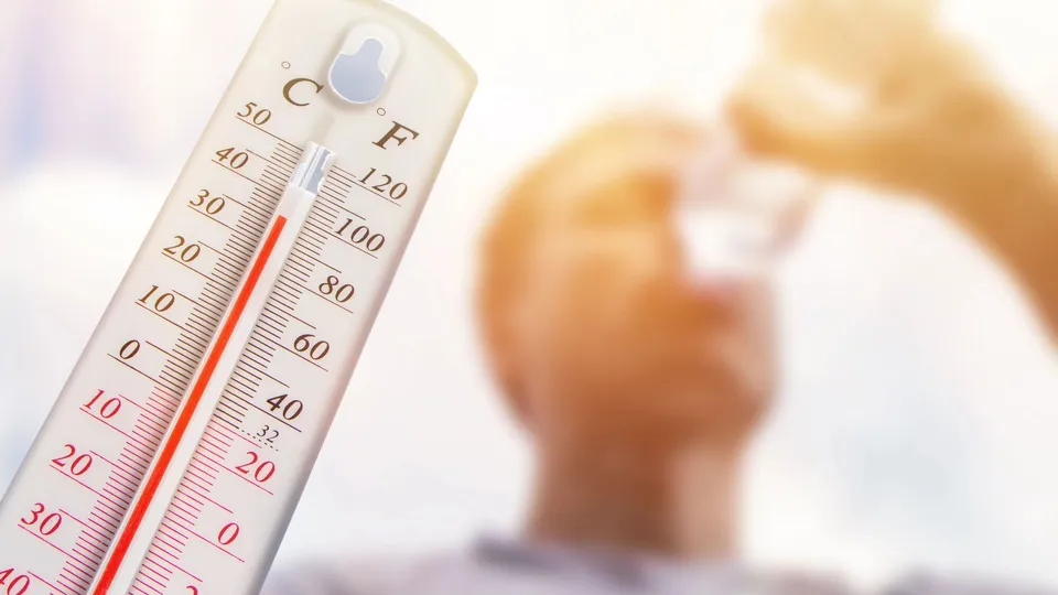 Європу накрила безпрецедентна спека: температура перевищила +40°C, сотні людей загинули, країни встановлюють історичні рекорди
