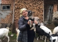 популярність в інтернеті
